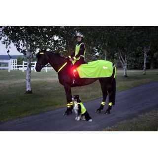 USG Reitsport Reflektordecke gelb mit USG Pferd
