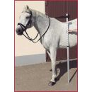 USG Reitsport Aluminium Stockma