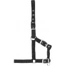 USG Reitsport Fohlenhalfter