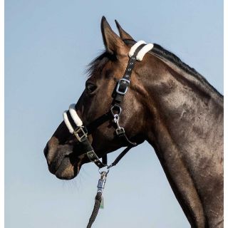 USG Reitsport Halfter einfarbig, unterlegt mit Kunstfell schwarz Pony