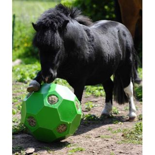 USG Reitsport Spiel- + Fütterungsball Happy Hay Play - Shetty grün  
