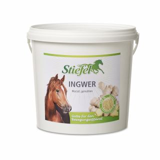 Stiefel Ingwer 1kg